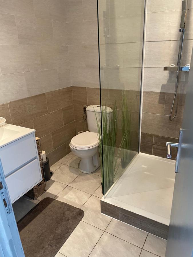Centre Carcassonne Apartment With Private Sunny Terrace Екстер'єр фото